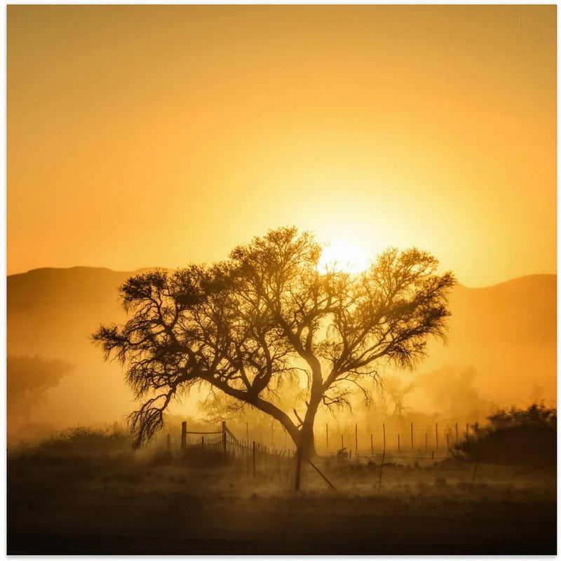 Golden Sunrise by Piet Flour Square Canvas Print Art for Modern Home Decor. Decorate your office or living room with canvas artwork