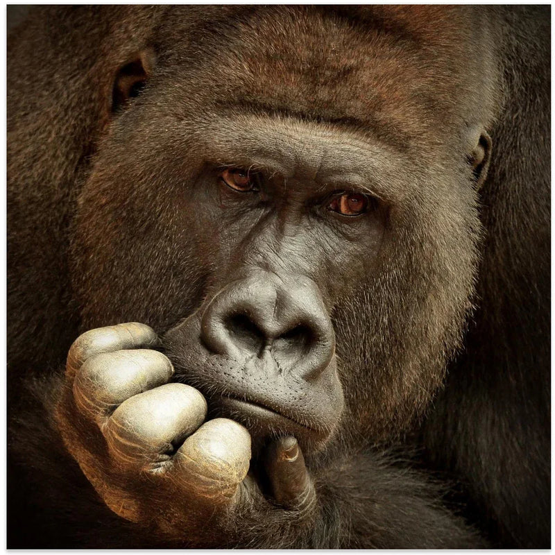 SENSE OF LIFE ... Square Canvas Art  Antje Wenner-Braun 