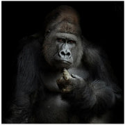 IMHO .... Square Canvas Art  Antje Wenner-Braun 