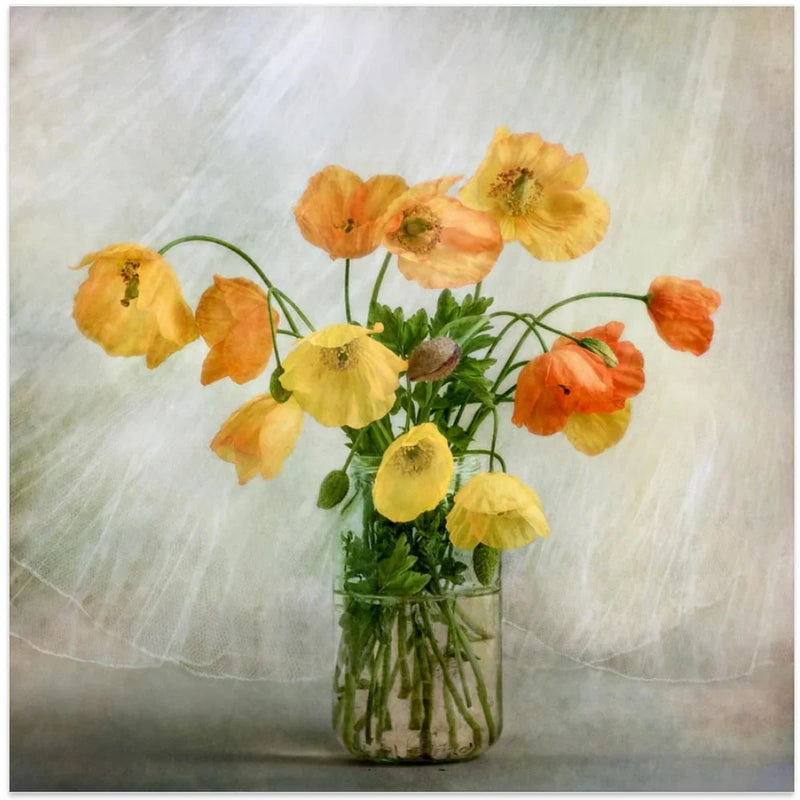 In the window by Mandy Disher Square Canvas Print Art for Modern Home Decor. Decorate your office or living room with canvas artwork