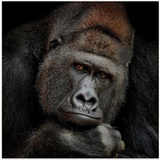 ONE MOMENT IN CONTACT Square Canvas Art  Antje Wenner-Braun 