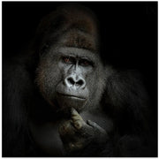 ego cogito, ergo sum Square Canvas Art  Antje Wenner-Braun 