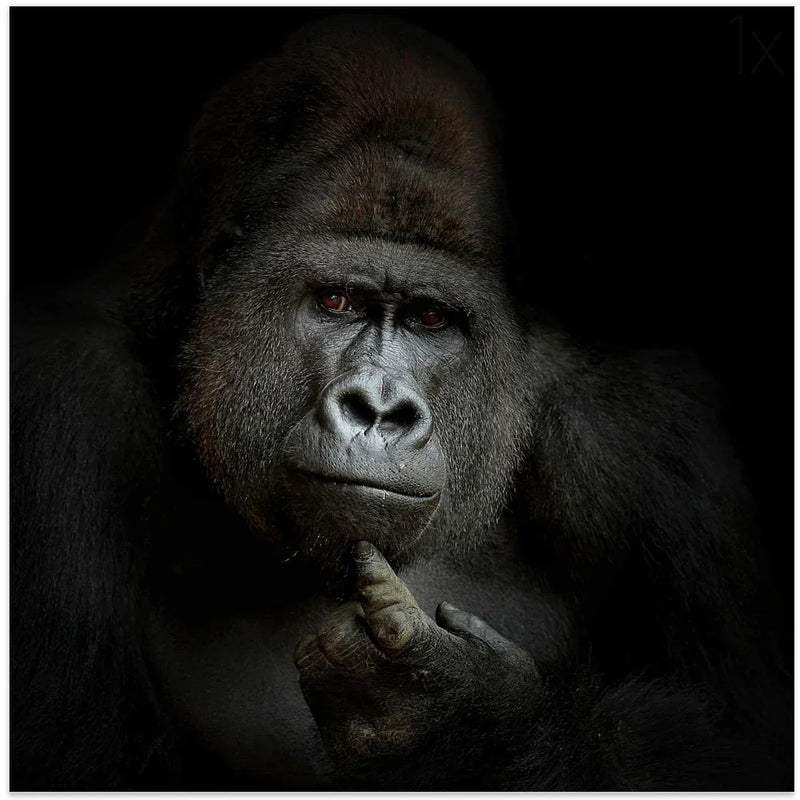 ego cogito, ergo sum Square Canvas Art  Antje Wenner-Braun 