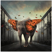 Butterphant by hardibudi Square Canvas Print Art for Modern Home Decor. Decorate your office or living room with canvas artwork