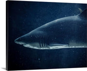 Shark Canvas Art Print, Blue canvas art Canvas Prints