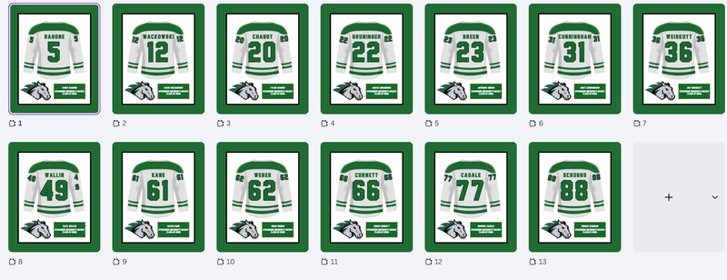 13 Frames - Stevenson University Hockey Class of 2026