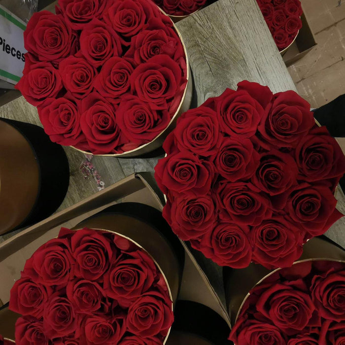 12 Red Roses Preserved in Black Box - Valentines Day Gift - Modern Memory Design Picture frames - New Jersey Frame shop custom framing