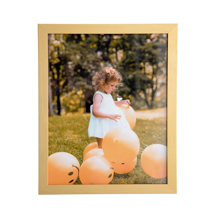 Modern Gold 48x18 Picture Frame  48x18 Frame 48 x 18