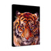 Tiger for home ready to hang Canvas