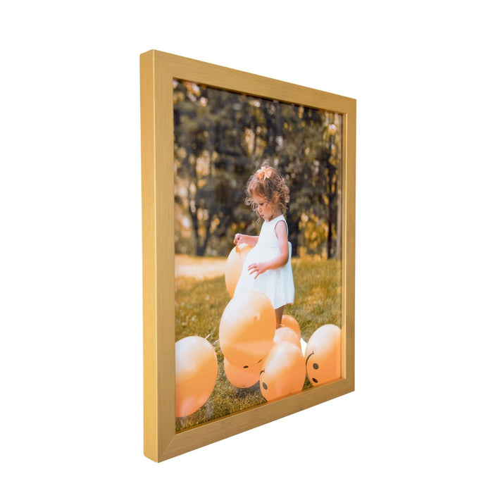 Modern Gold 33x44 Picture Frame  33x44 Frame 33 x 44 Poster Frames 33 by 44