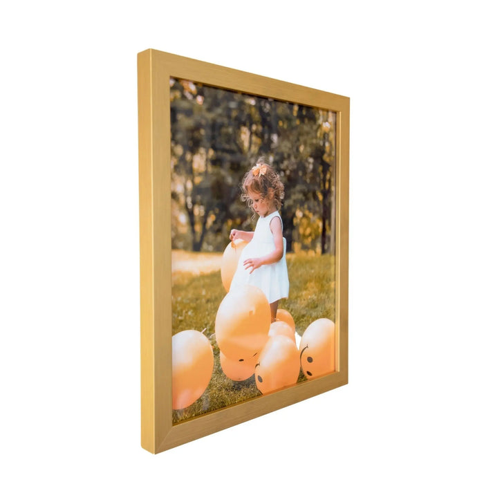 Modern Gold Contemporary 37x45 Picture Frame 37x45 Frame 37 x 45 Poster Frames 37 x 45