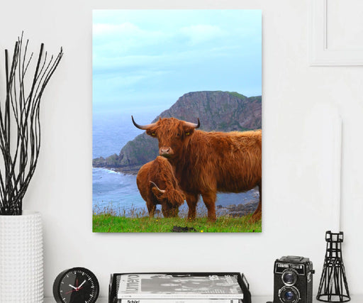 s of highland cows Home Canvas