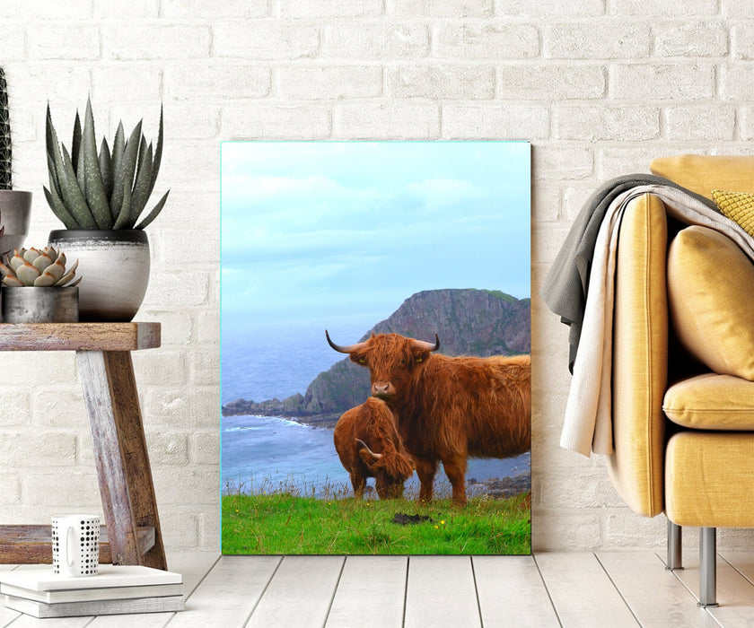 s of highland cows Home Canvas