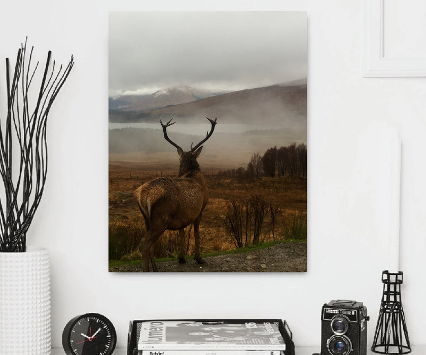 Deer Animal Canvas Prints Home Wall Decor