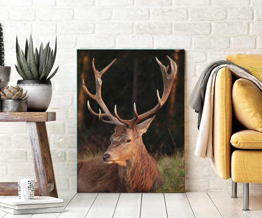Deer Antlers Animal Wall for Decor Canvas