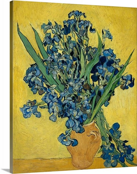 Vincent van Gogh Irises Canvas Prints Art Classic Artwork