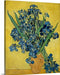 Vincent van Gogh Irises Canvas Prints Art Classic Artwork