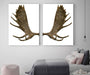 Moose antlers Wall Art for Wall Decor