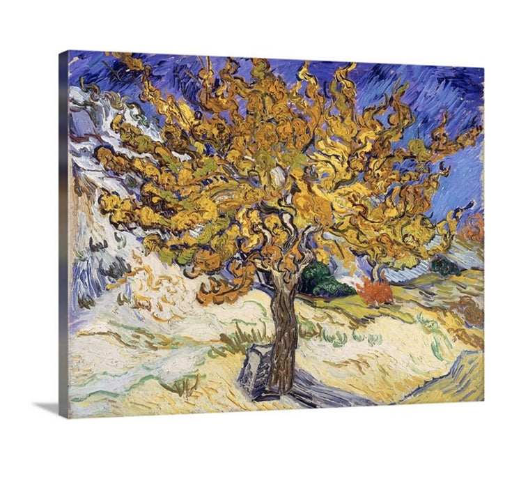 The Mulberry Tree by Vincent Van Gogh Framed Art Canvas Prints