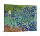 Irises by Vincent Van Gogh Garden Flowers botanical Art
