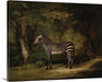 Zebra by George Stubbs Canvas Classic Artwork