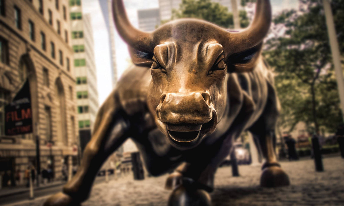 Wall street bull and bear stock market Office Finance framed art