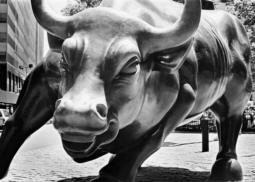 Wall street bull and bear stock market Office Finance framed art