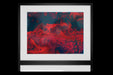 Abstract Red Black wall art Canvas print Canvas Prints Framed art - Modern Memory Design Picture frames - New Jersey Frame shop custom framing