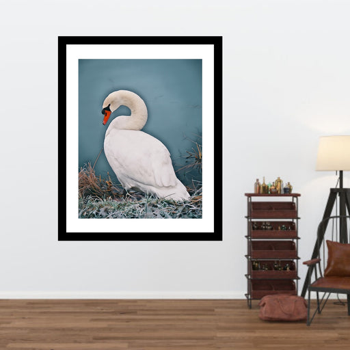 Swan Framed Wall Art Print for Wall Decor