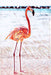 Flamingo framed art home wall decor animal art
